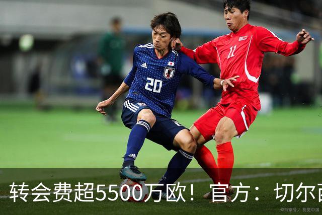 转会费超5500万欧！官方：切尔西签下21岁帕莱斯特拉，签约7年